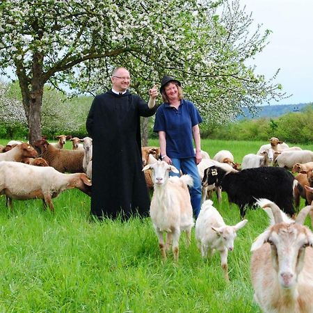 Kloster Plankstetten Gaste- Und Tagungshaus Berching Kültér fotó